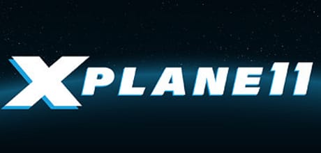 专业模拟飞行11/专业飞行模拟11